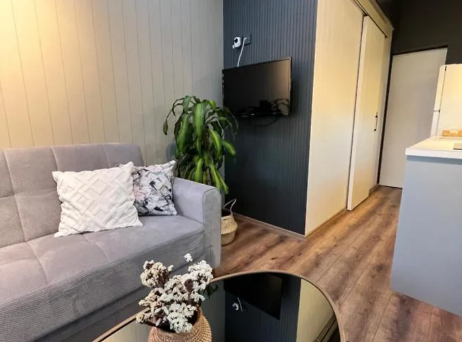 Calis Tiny House Apartment Fethiye