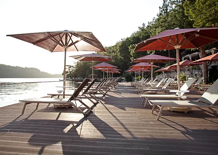 Pet friendly Marti Hemithea Hotel Marmaris