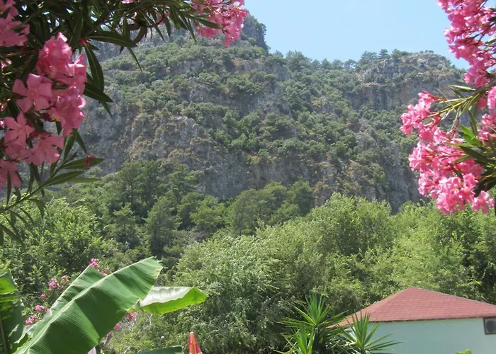 Holiday homes in Dalaman Coast