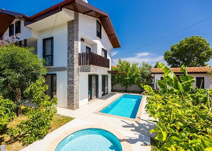 Pet friendly Villa Welt Dalyan