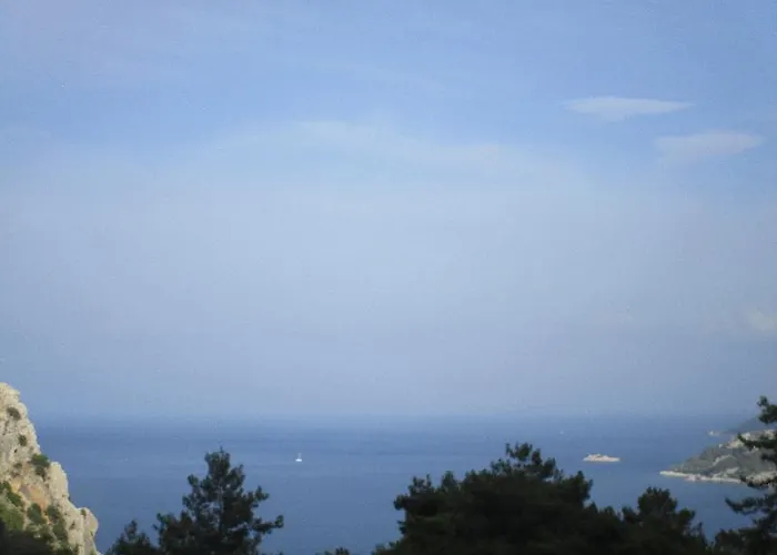 Pet friendly Lavanta Boutique Hotel Marmaris